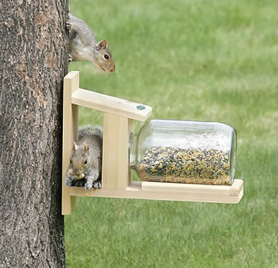 Duncraft Squirrel Jar Feeder