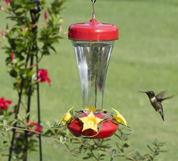 Aster Hummingbird Feeder