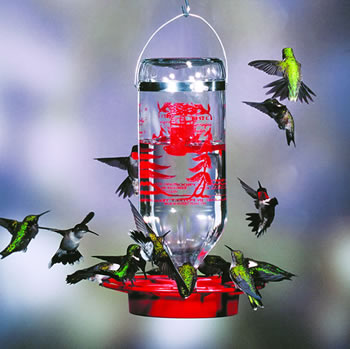 Best-1 Hummingbird Feeder 32 oz.