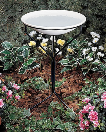 Bird Bath With Metal Stand