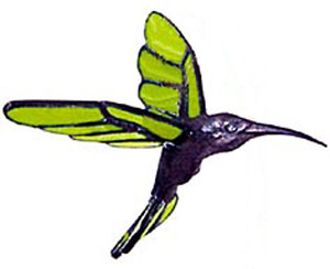 Hummingbird Body