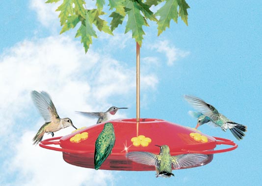 Perky Pet 221 16 oz Hummingbird Oasis