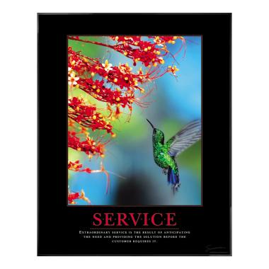Service Hummingbird Motivational Poster