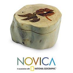 Handcrafted Guachipilin Wood 'Hummingbird Haven' Box (Guatemala)