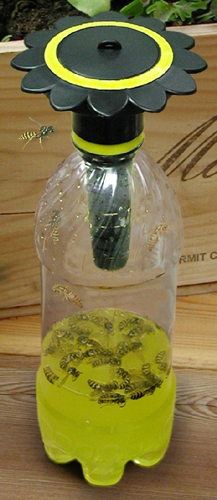 Gadjit WP26135 Soda Bottle Wasp Trap Black  Non Toxic