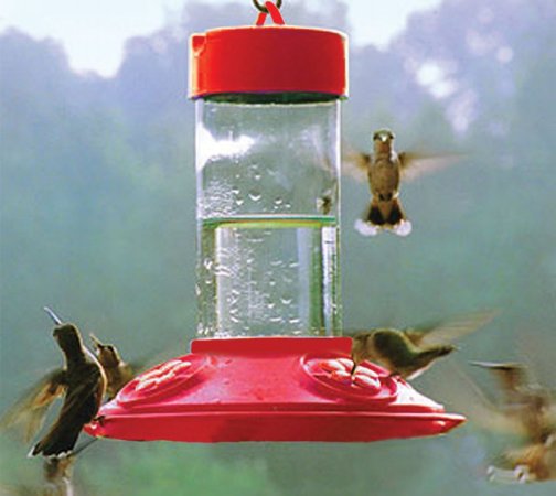 Dr Jb ft.S Hummingbird Products BSPSE6002 Feeder Red