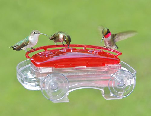 Aspects ASPECTS407 Jewel Box Window Hummingbird Feeder