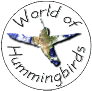 World of Hummingbirds Logo