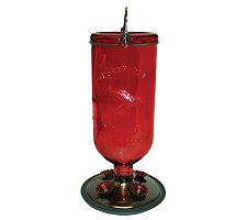 Hummingbird Antique-Style Bottle Feeder - Red Glass