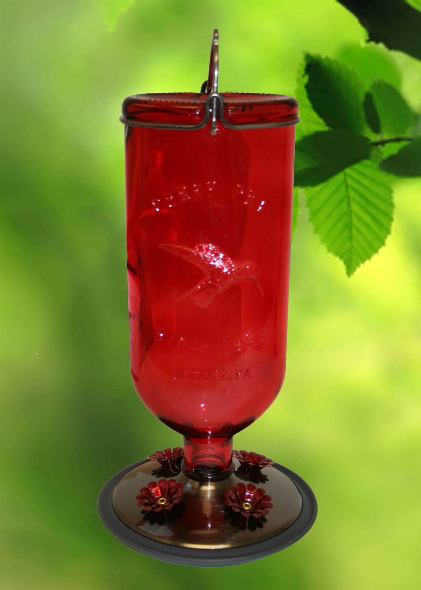 Antique Red Bottle Hanging Hummingbird 16 oz. Feeder